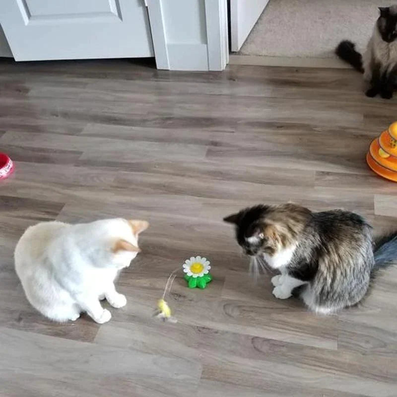 Interactive toys for cats | Ninalo™