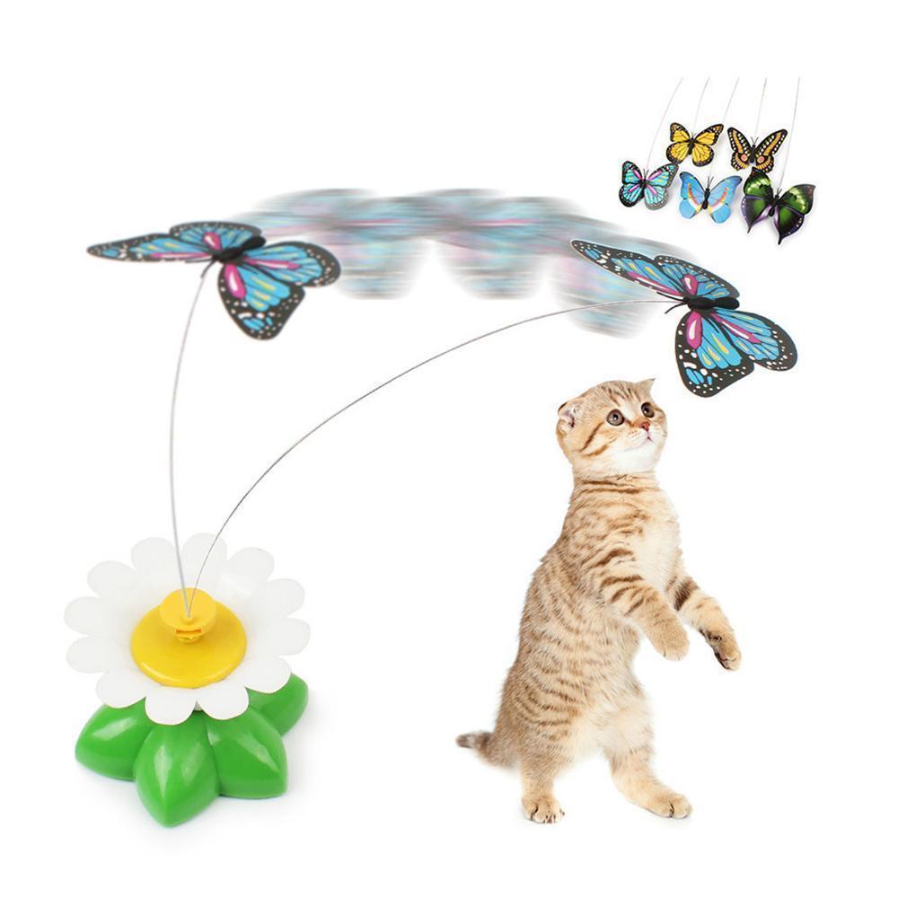 Interactive toys for cats | Ninalo™
